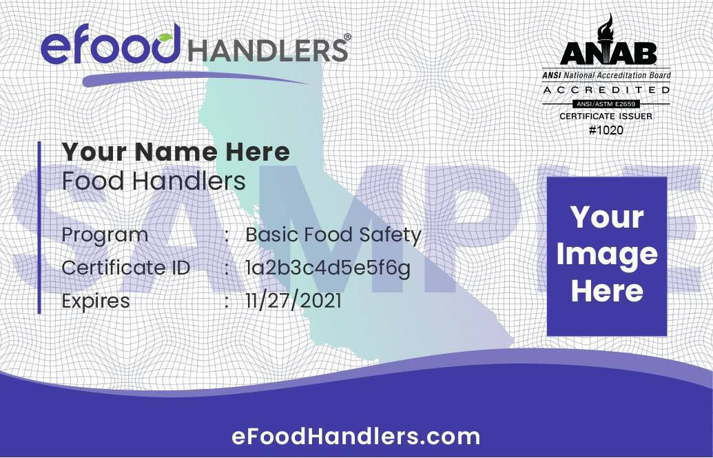 Food Handler Card